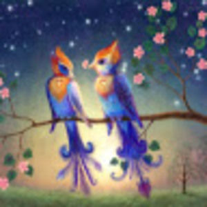 Meet your Posher, Kayle